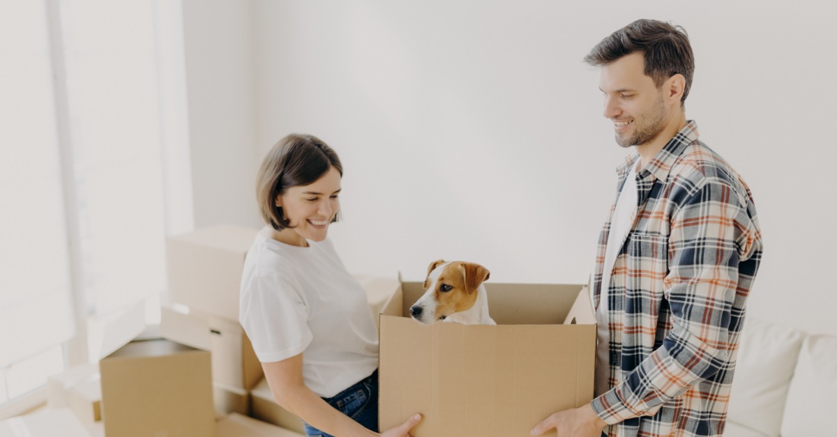 10 Essential Tips and Tricks for a Stress-Free Pet-Friendly Move