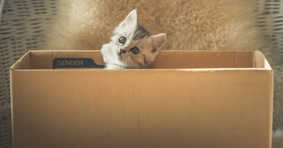 Getting Creative with organizing and storage of pet supplies