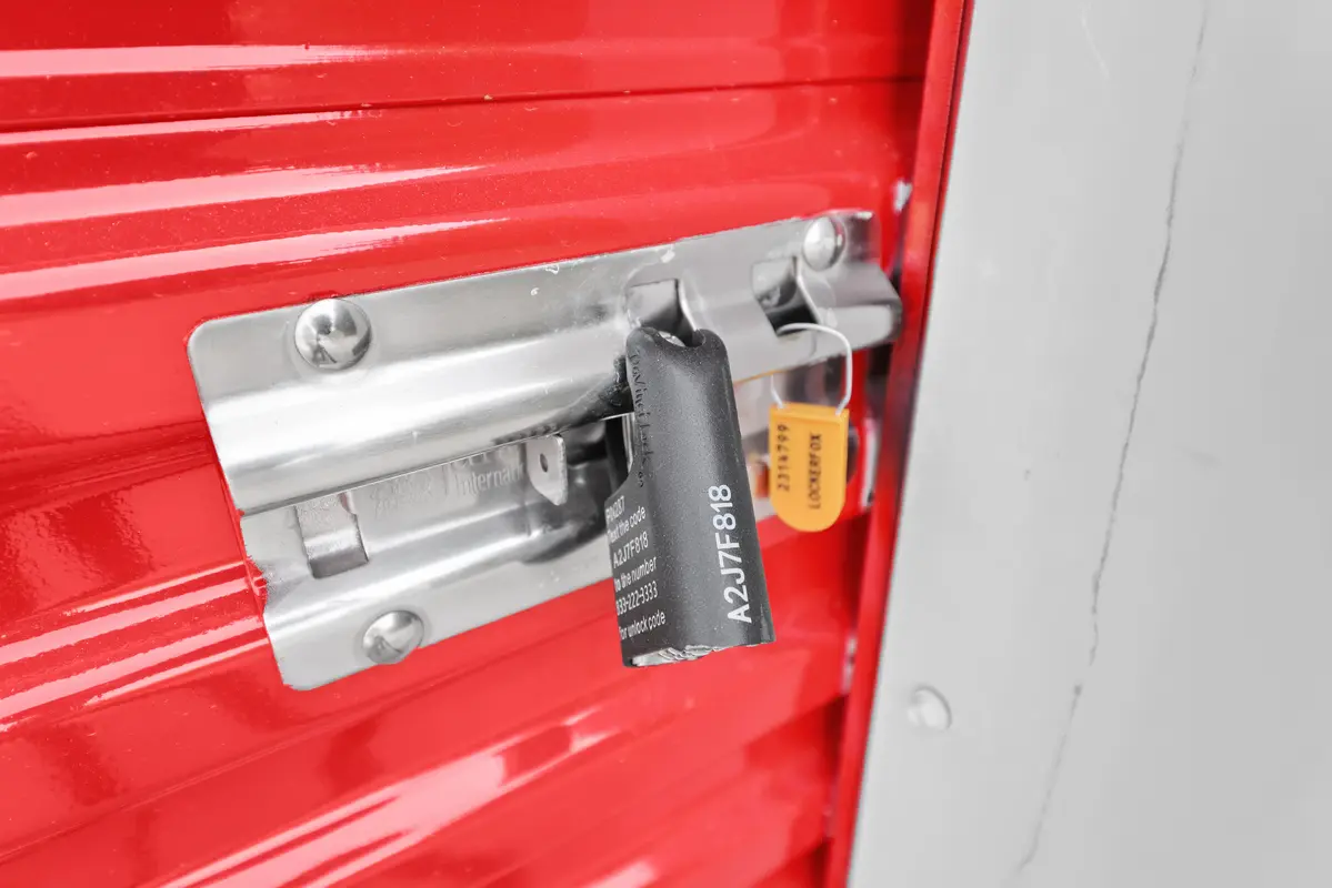 self storage lock checks