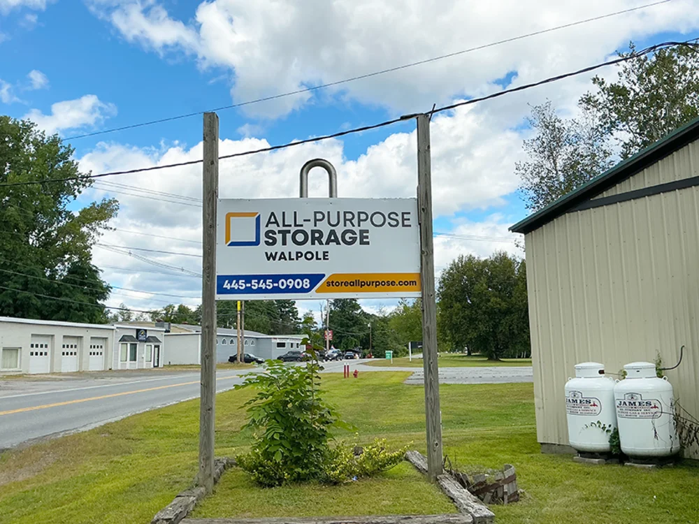 self storage units walpole