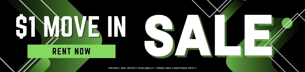 Promo Banner