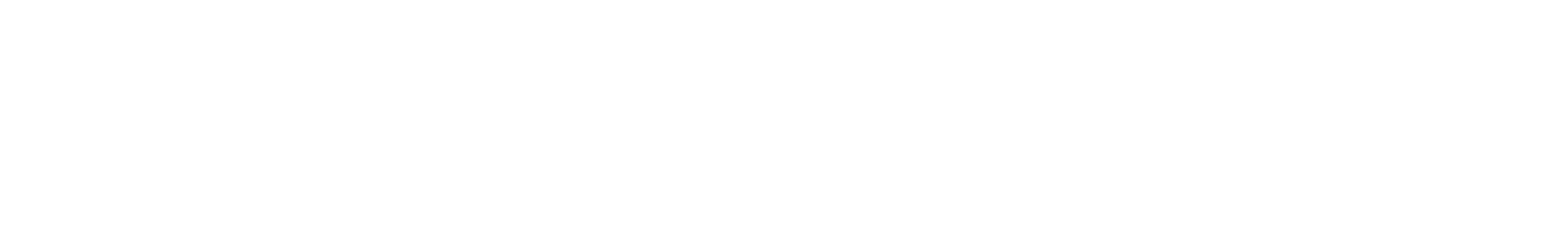 point richmond self storage logo white