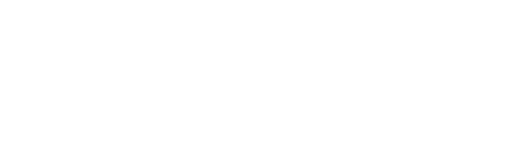 truesafe storage logo